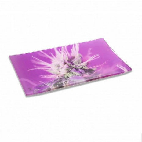 Syndicate Glass Rolling Tray Medium - Pink Lemonade - SBCDISTRO